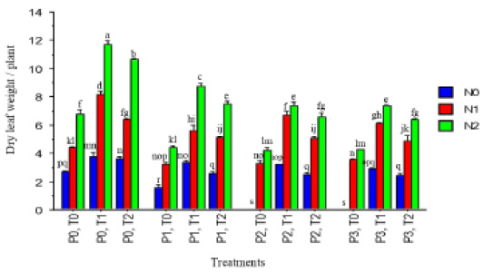 Figure 5: