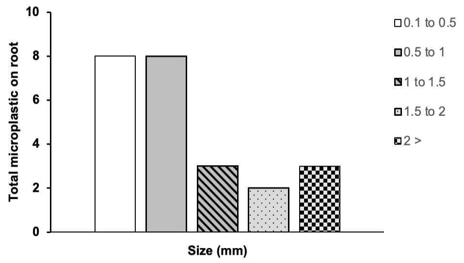 Figure 4: