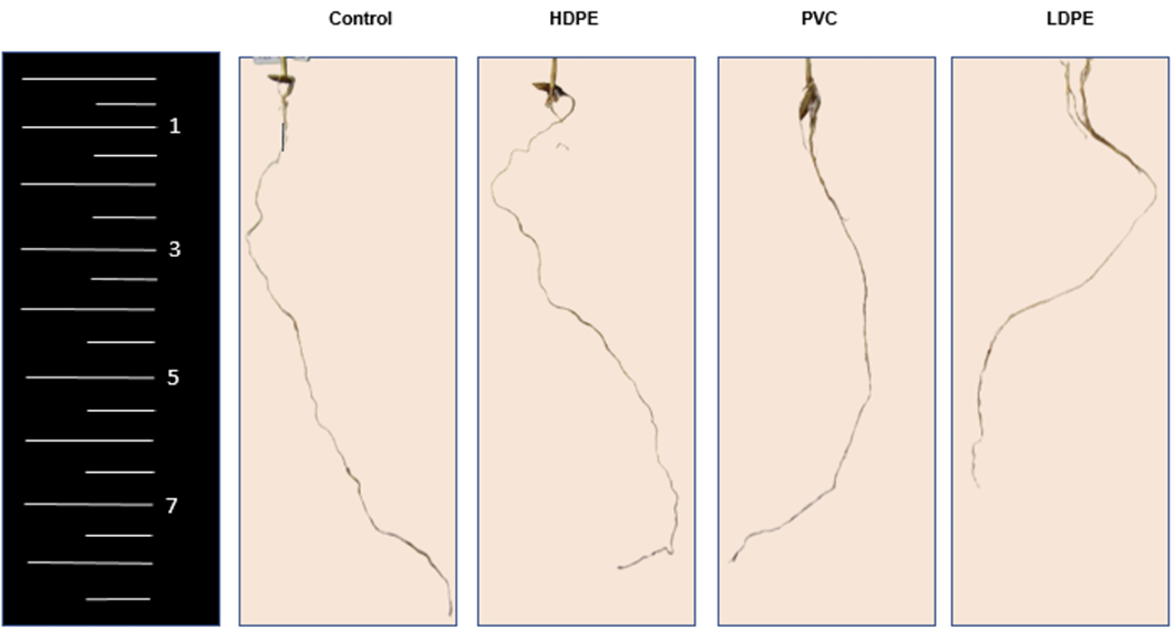 Figure 5: