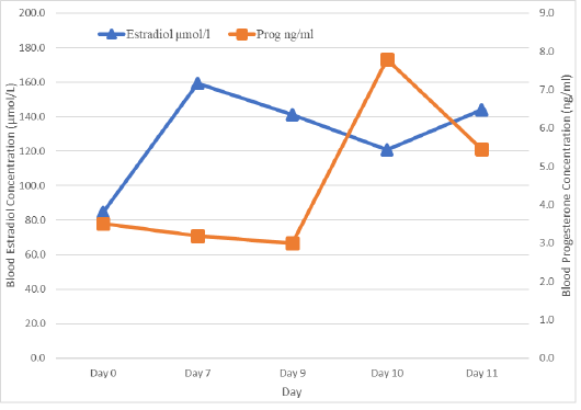 Figure 4: