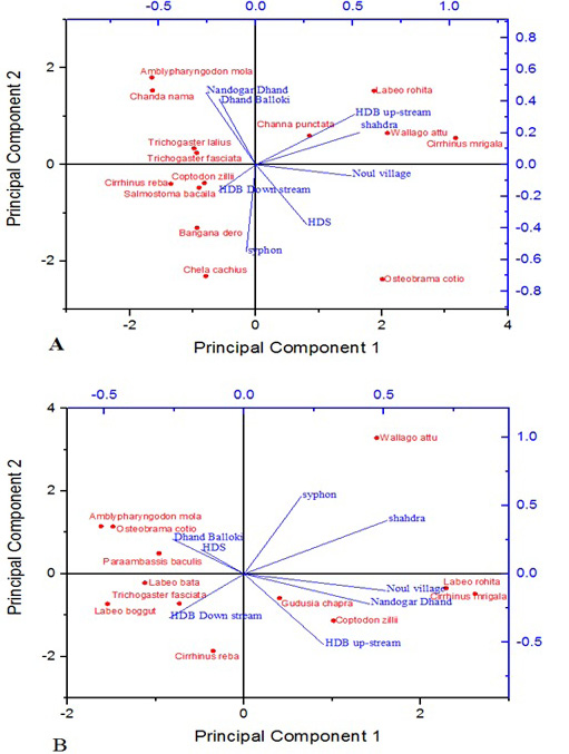 Fig. 7.