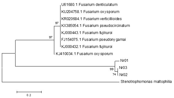 Figure 3: