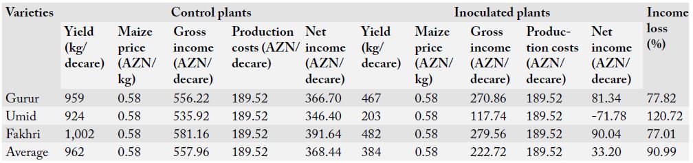 Table 6: