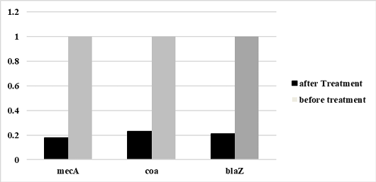 Figure 5: