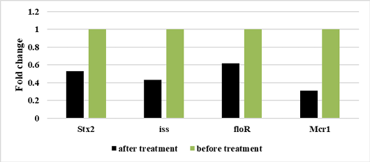 Figure 6: