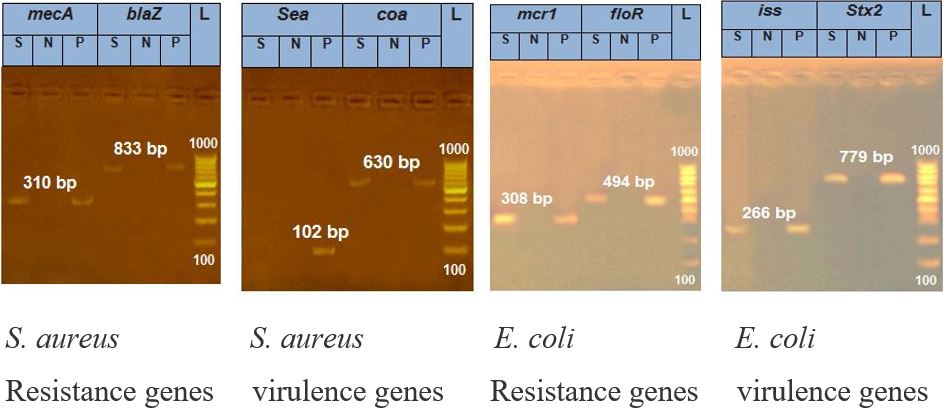 Figure 4: