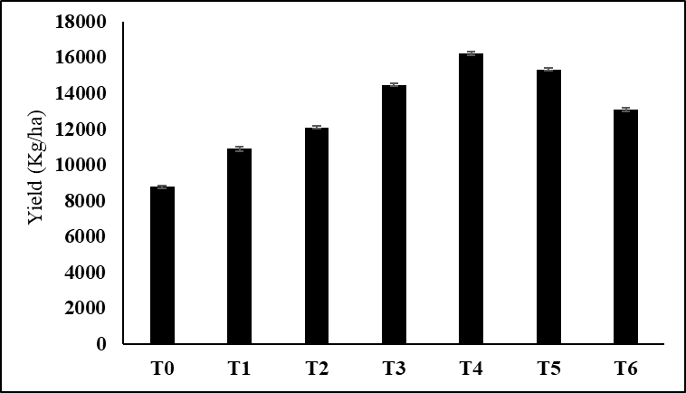 Figure 4: