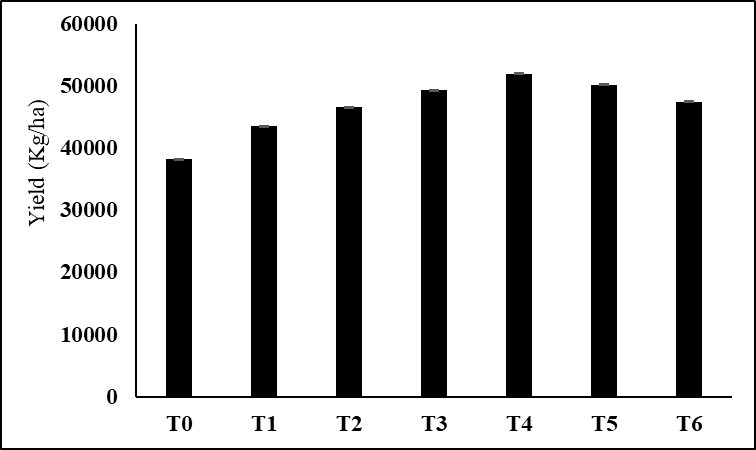 Figure 3:
