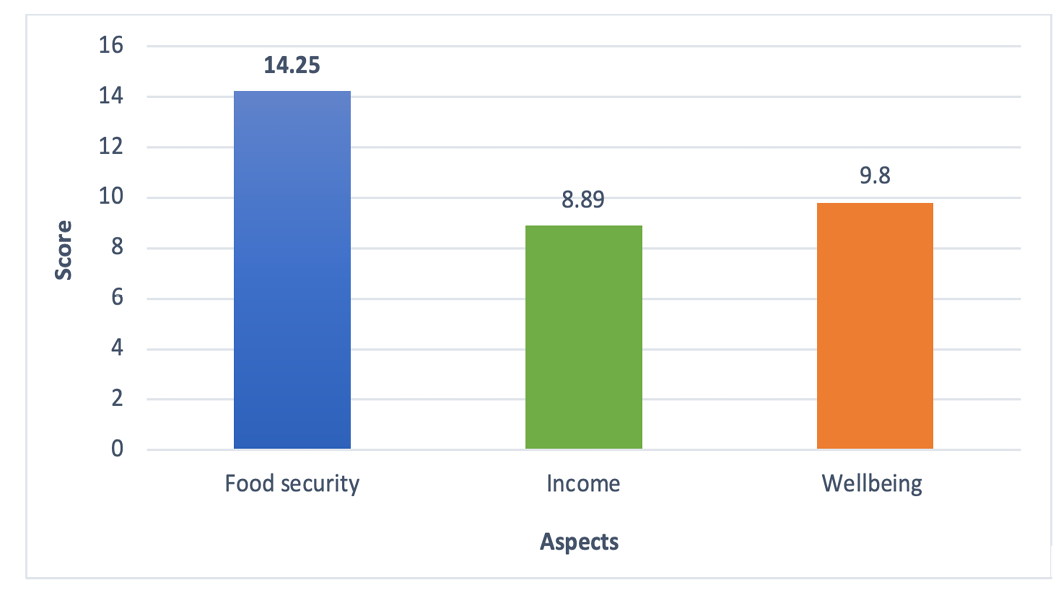 Figure 4: