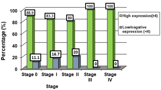 Figure 6: