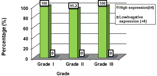 Figure 5: