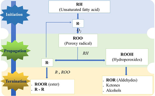 Figure 3: