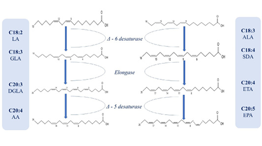 Figure 4: