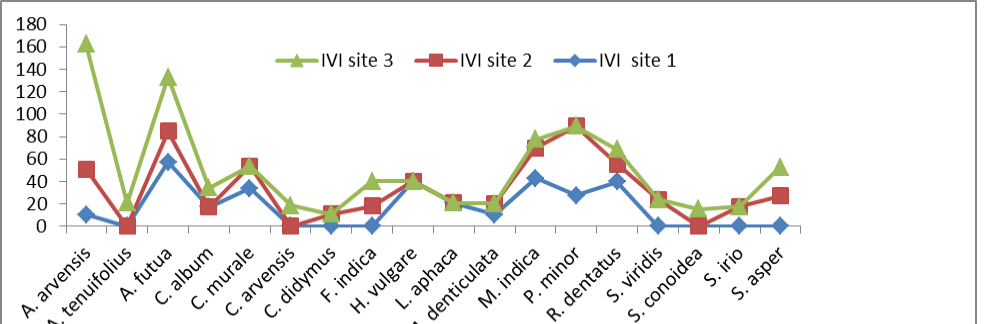Figure 5: