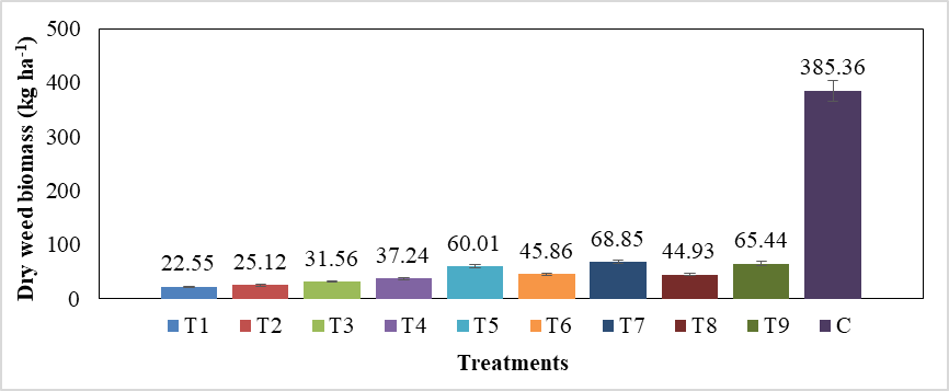 Figure 4: