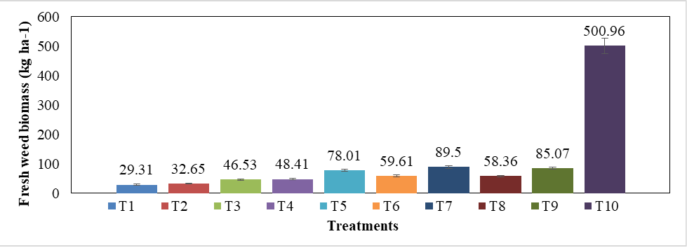 Figure 5: