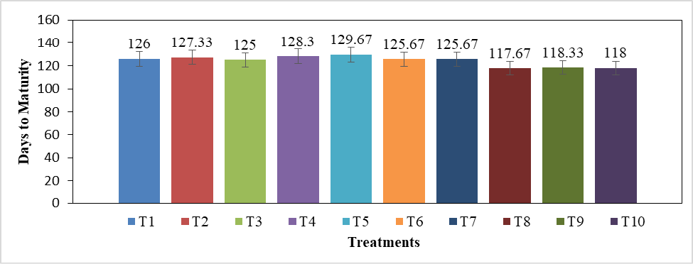 Figure 6: