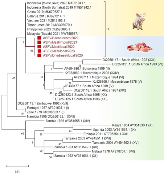 Figure 2: