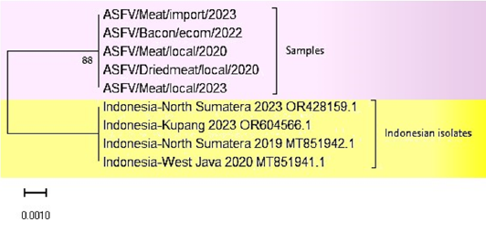 Figure 3:
