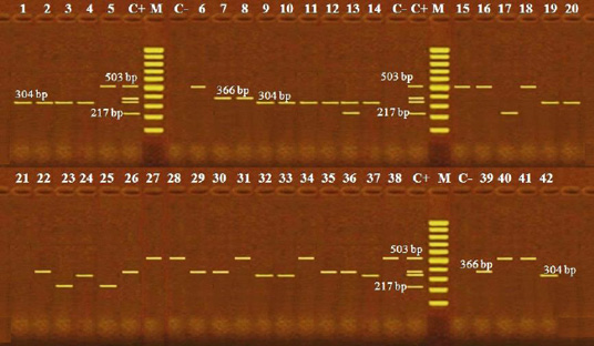 Figure 2: