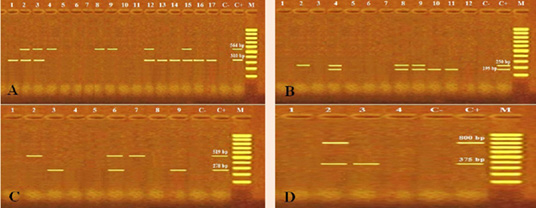 Figure 3: