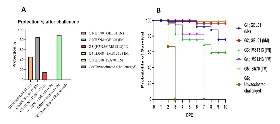 Figure 3: