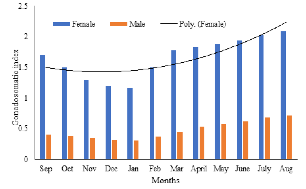 Figure 1: