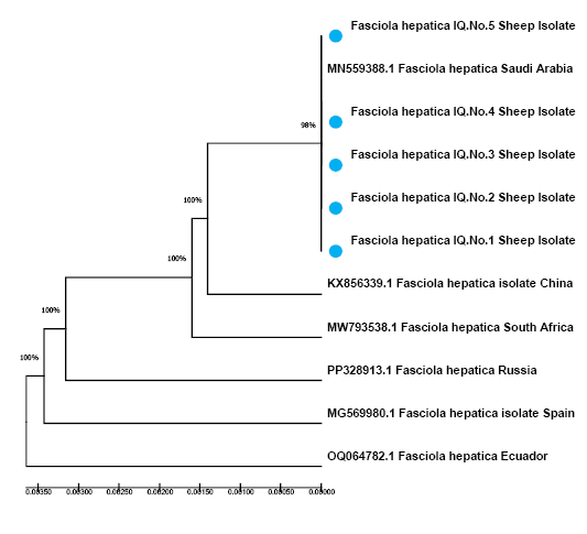 Figure 3: