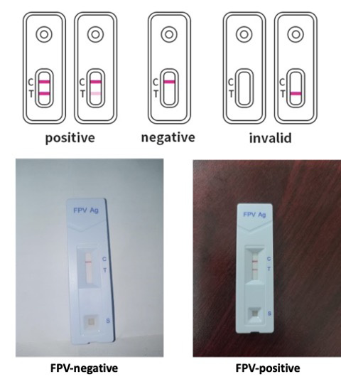 Figure 2: