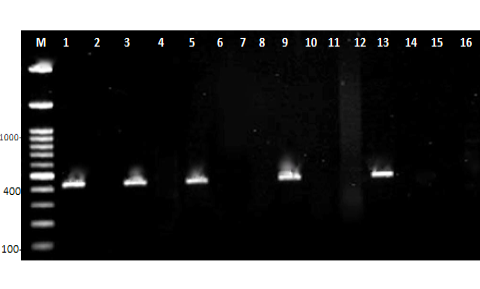 Figure 7