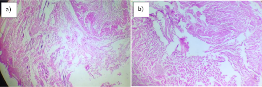 Figure 4: