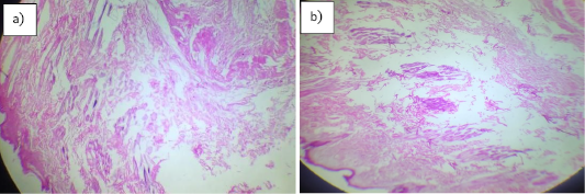 Figure 5: