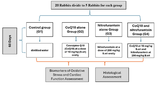 Figure 1: