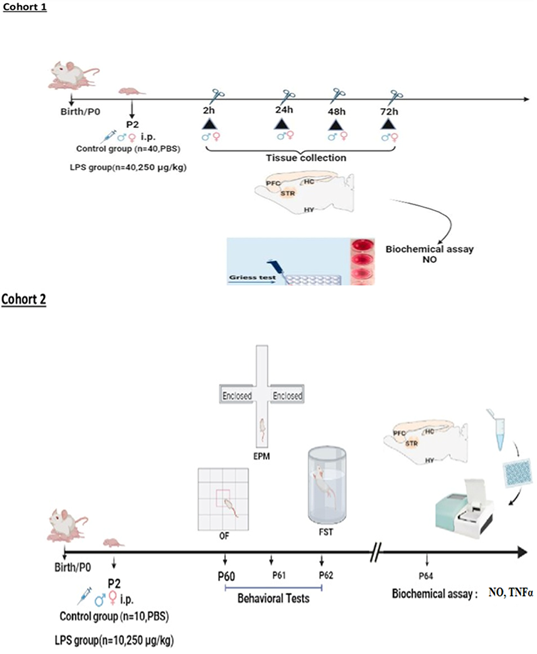Figure 1:
