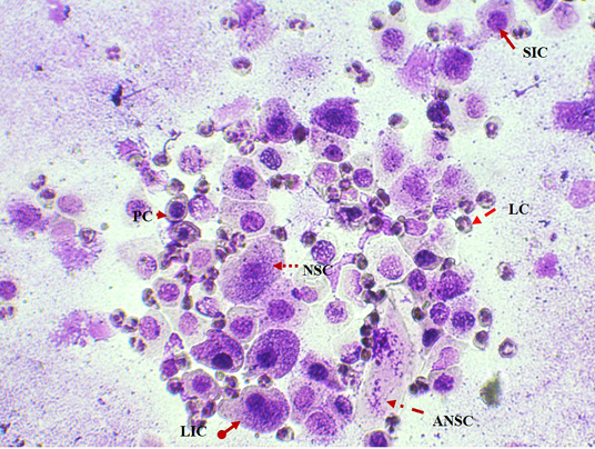 Figure 1: