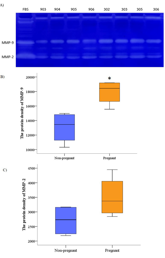 Figure 4: