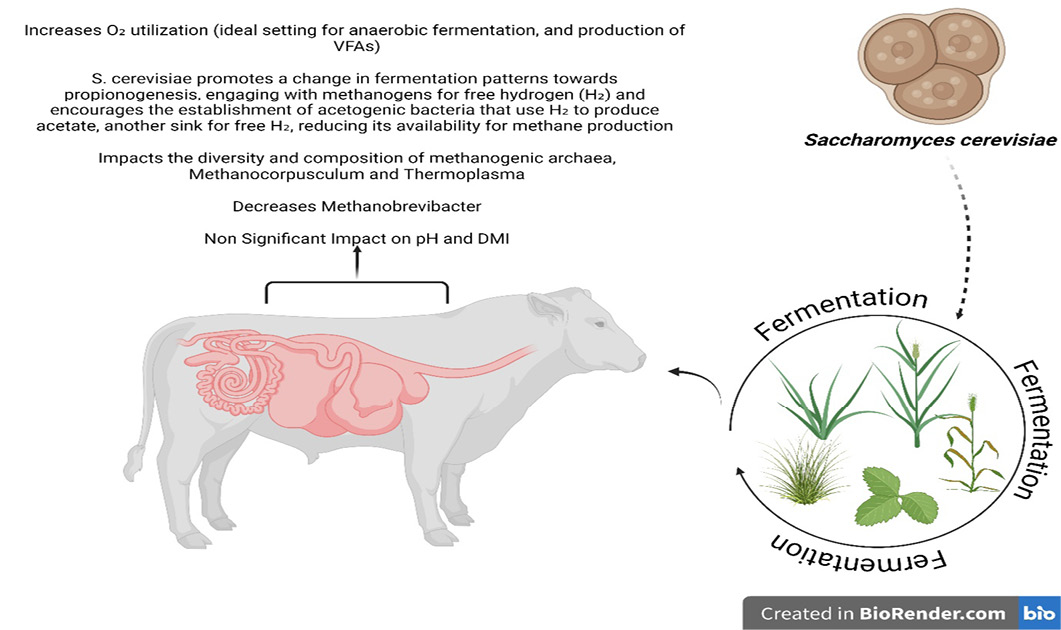 Figure 5: