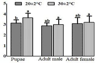 Figure 6: