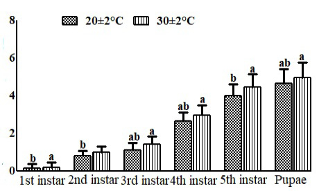 Figure 7: