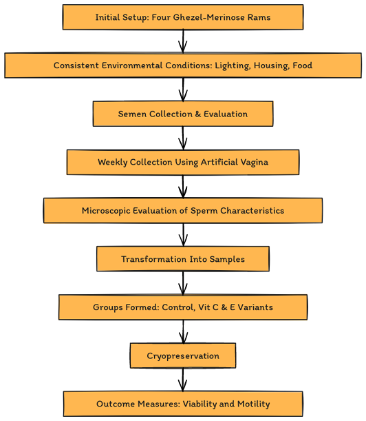 Figure 1: