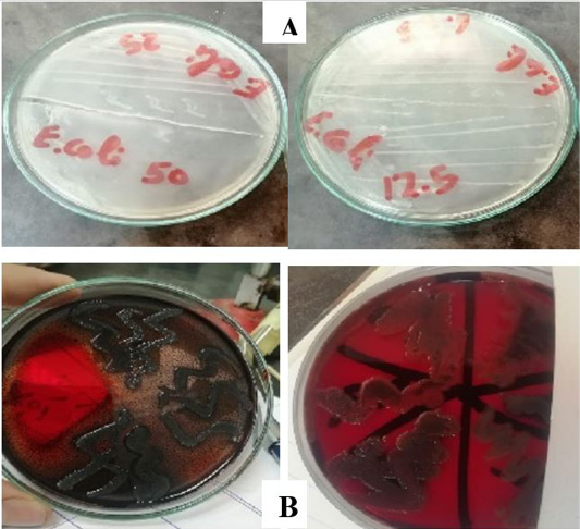 Figure 5: