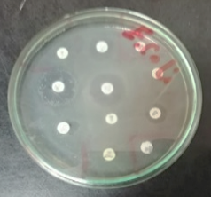 Figure 2: