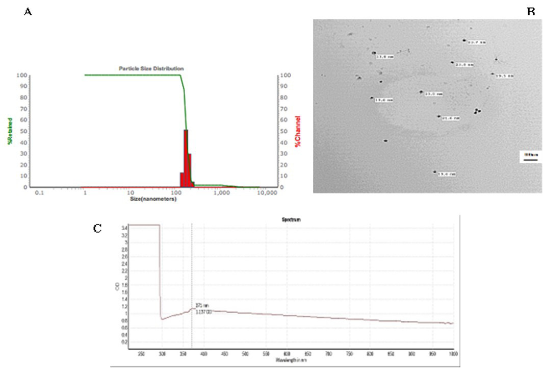 Figure 3: