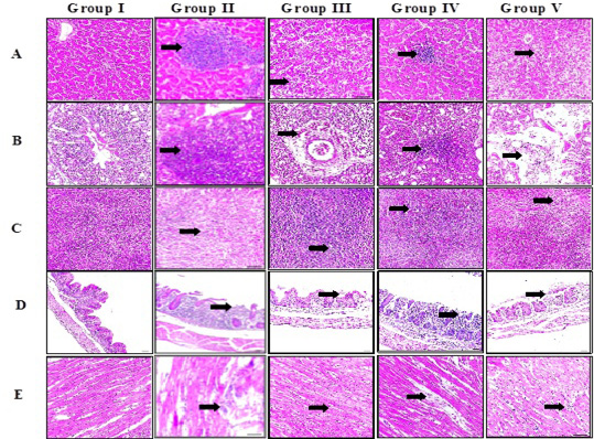 Figure 7:
