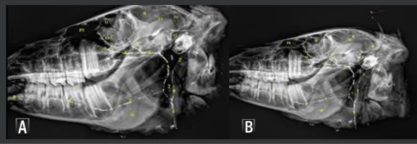 Figure 3: