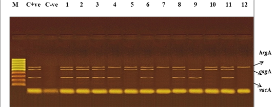 Figure 3: