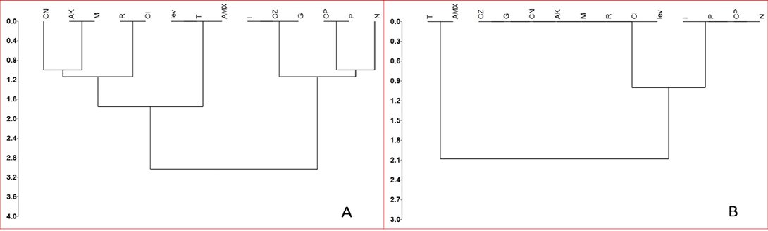 Diagram 2: