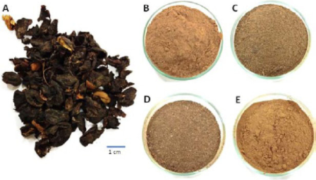 Figure 1: