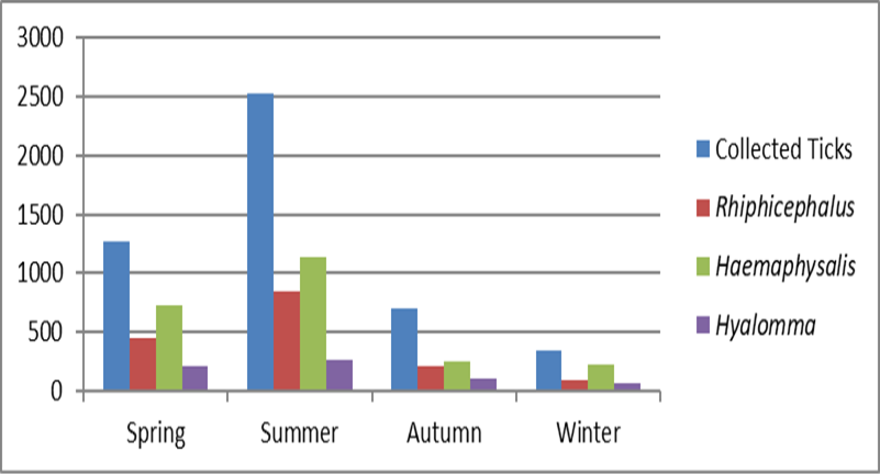 Figure 5: