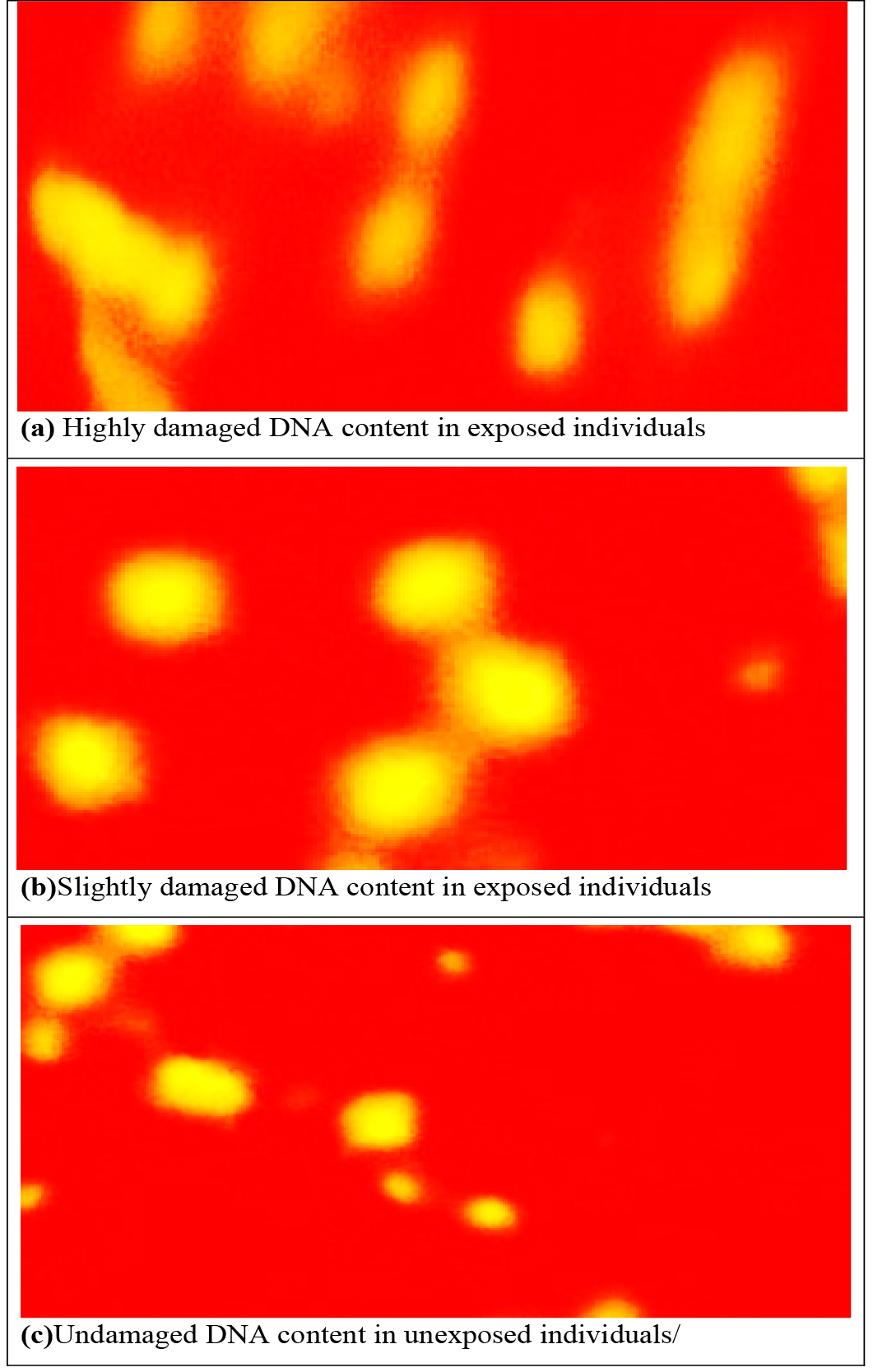 Figure 5: